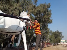 Government Islamia High School sheikhupura