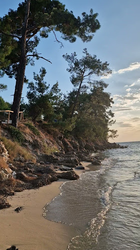 Αριθμός τηλεφώνου Pefkospilia Restaurant & Beach Bar