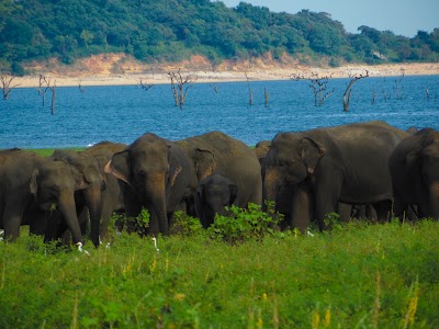 Photos of Bentota Tours