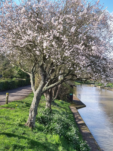 Hythe Canal Bank Bandstand - Thumbnail