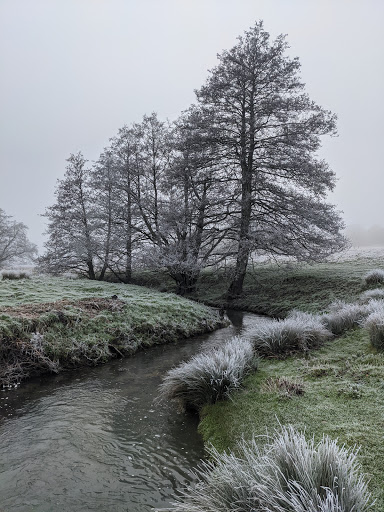 Hothfield Waterfall Gallery - United Kingdom