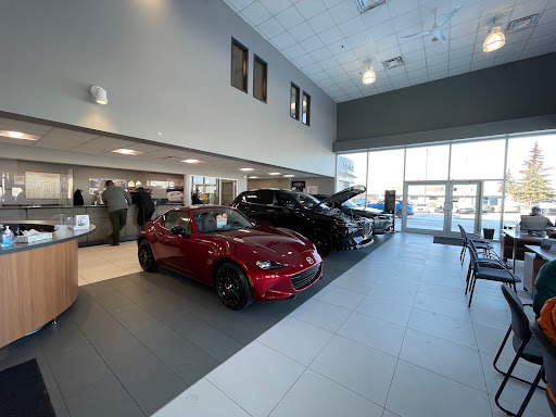 Go Mazda - Visual