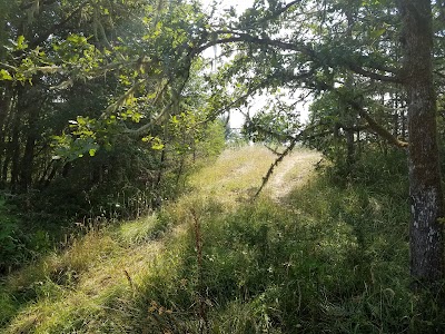 Timberhill Natural Area