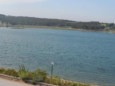 Pelitözü Pond