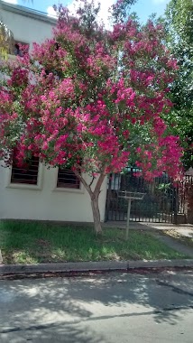 Centro De Estetica Mar De Flores, Author: marta Noemi