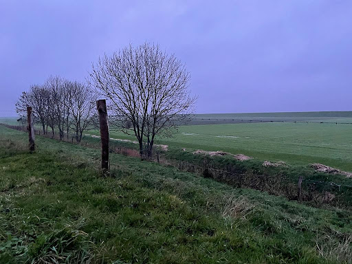 Westerdeich - Visual