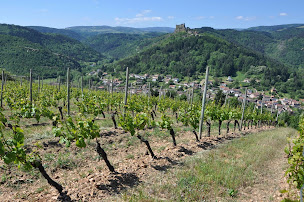 Photo n°29 de AGAMY - Vilavigne - Espace de Vente de Trelins à Trelins (Cave à vins)