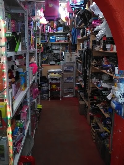 Photos of Elmono loco