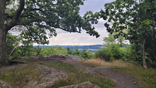 The Huskvarna Mountains - Thumbnail