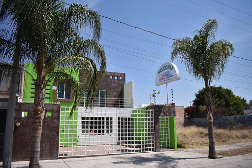 Clinica veterinaria Kazoku