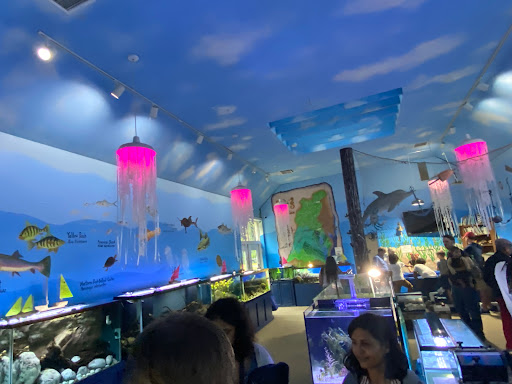 Glen Echo Park Aquarium Gallery - United States