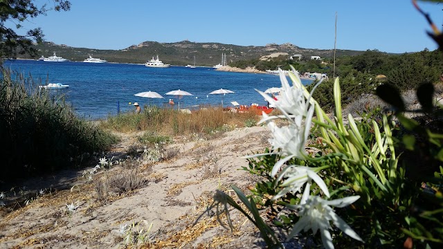 Spiaggia La Celvia