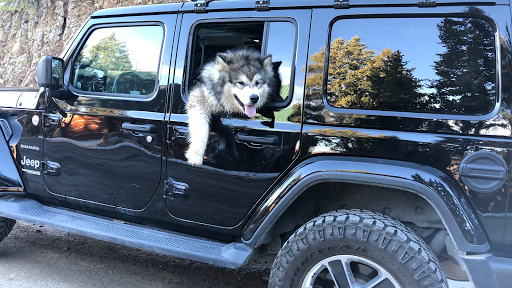 Park City Pet Salon