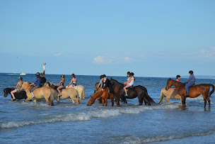 Photo n°2 de Centre Equestre de Ouistreham à Ouistreham (Centre équestre)