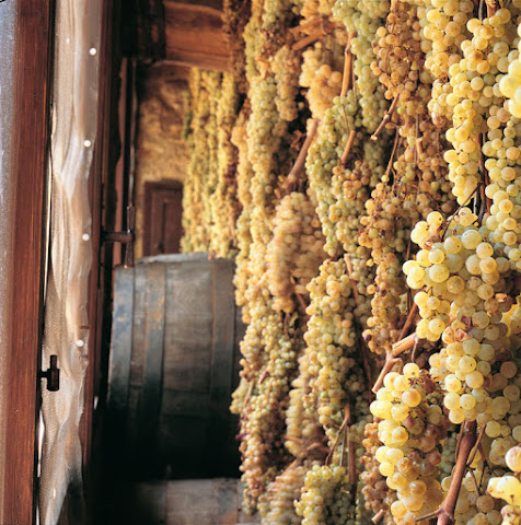 Castellare di Castellina Chianti Classico Riserva Vigna Il Poggiale by null
