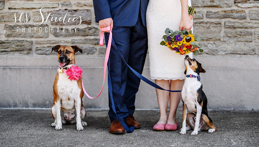 808 Studios Photography 31 S 2nd St suite 203, Miamisburg, OH 45342, United States