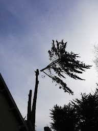 Photo n°21 de Vigneral Elagage SARL à Bouvron (Service d'élagage)