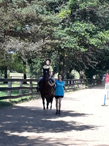 Equestrian Ring - Visual