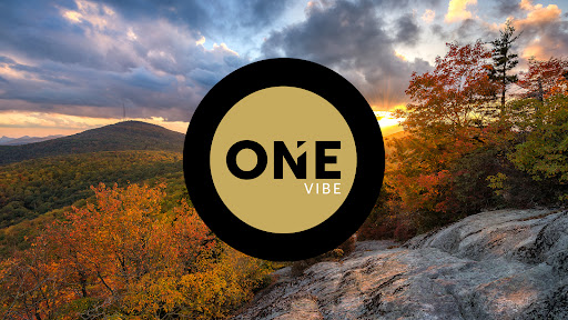 Realty One Group Vibe