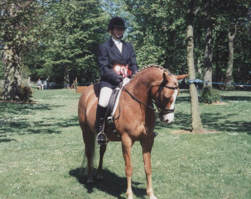 Equi Stone Equestrian Ltd - Thumbnail