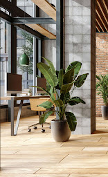 Photo n°5 de Mme Propre - nettoyage entreprises et bureaux à Annemasse à Annemasse (Entreprise de nettoyage de vitres)