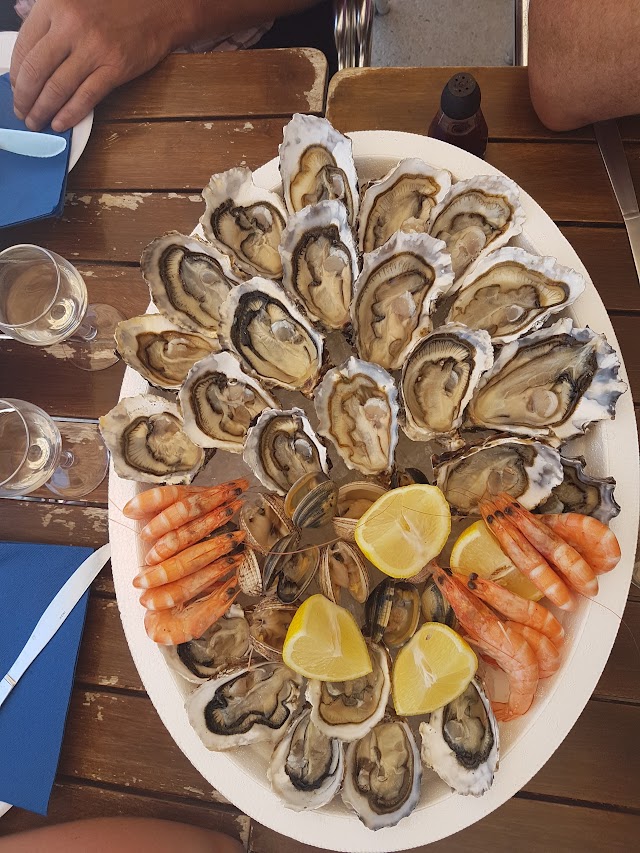 L'aquarium Huitres Moules Coquillages Poisson