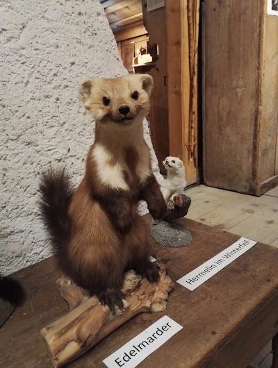Photos of Heimatmuseum Schanfigg