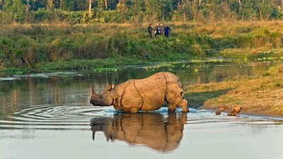 Photos of Jungle Explore Tours
