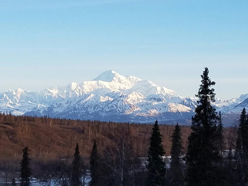 Denali Transportation Services - Thumbnail