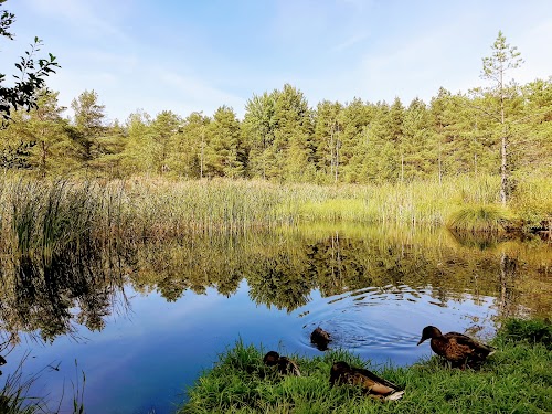 Turistų atrakcijos