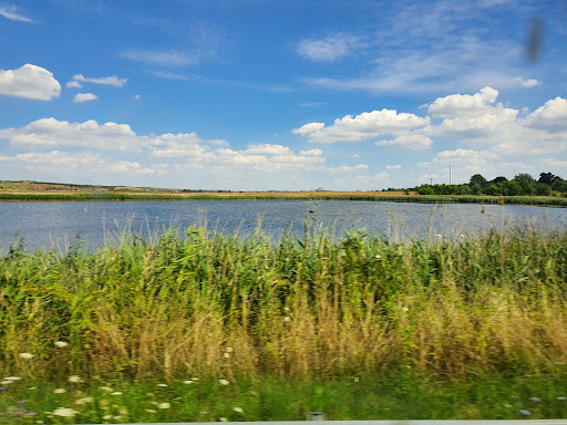Salziger See Logo