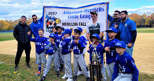 Merillon Field - Thumbnail