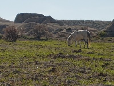 sirius horse riding & camping