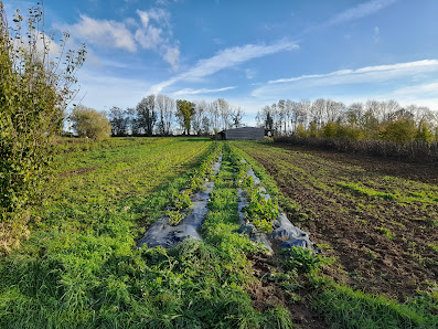 EARL Aux légumes du moulin Le haut de, 213 Chem. des Herbages, 14240 Cahagnes, France