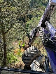 Photo n°4 de DS Vert Tiges à Coux (Service d'élagage)