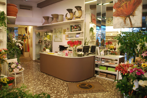 Mimmoflor - Visual