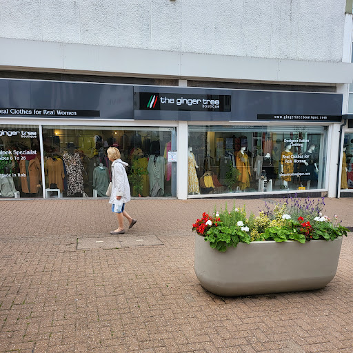 Ginger Tree Boutique
