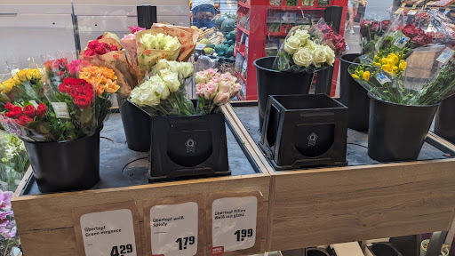 REWE Sinanovic - Thumbnail