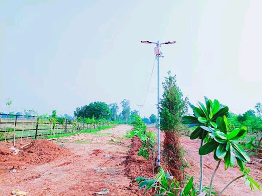 Gallery image 12