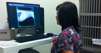 Photos of Animal Hospital of East Davie
