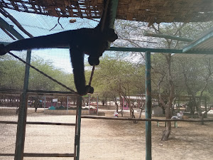 Parque Ecologico De Sechura 0