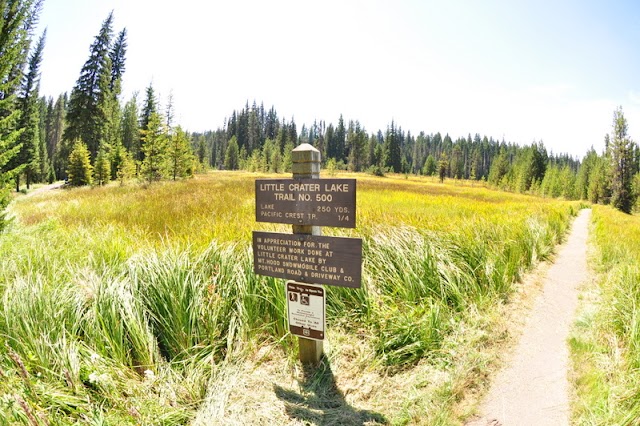 Little Crater Lake Campground