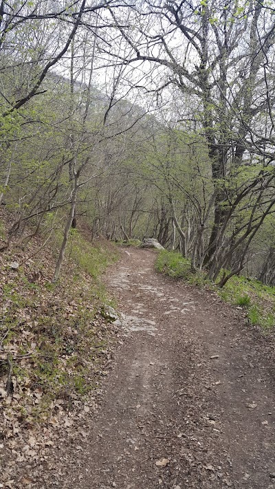 Photos of пътека до патриаршески манастир