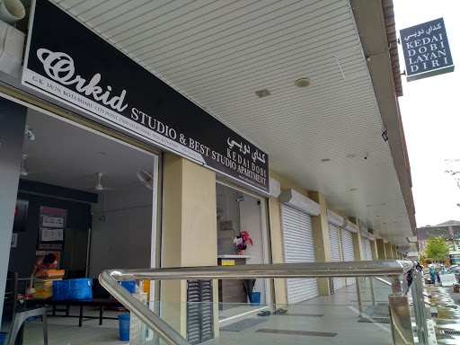 Orkid Dobi Kota Bharu (KBCP)