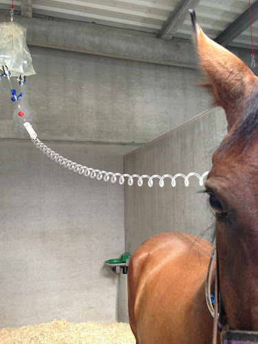Clinique Vétérinaire Equine du G5