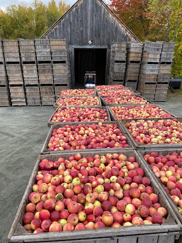 Poverty Lane Orchards by null