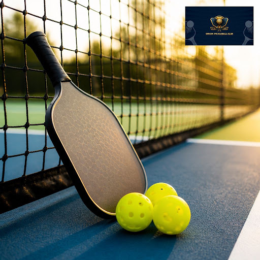 Ready to take your game to the next level? Orion Pickleball Club in Indore offers an exclusive Go… post image