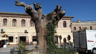 Photos of Ayuntamiento de Cebolla
