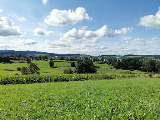 24-Örter-Stein - Visual