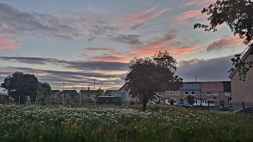 Wishaw South Bowling Club - Thumbnail